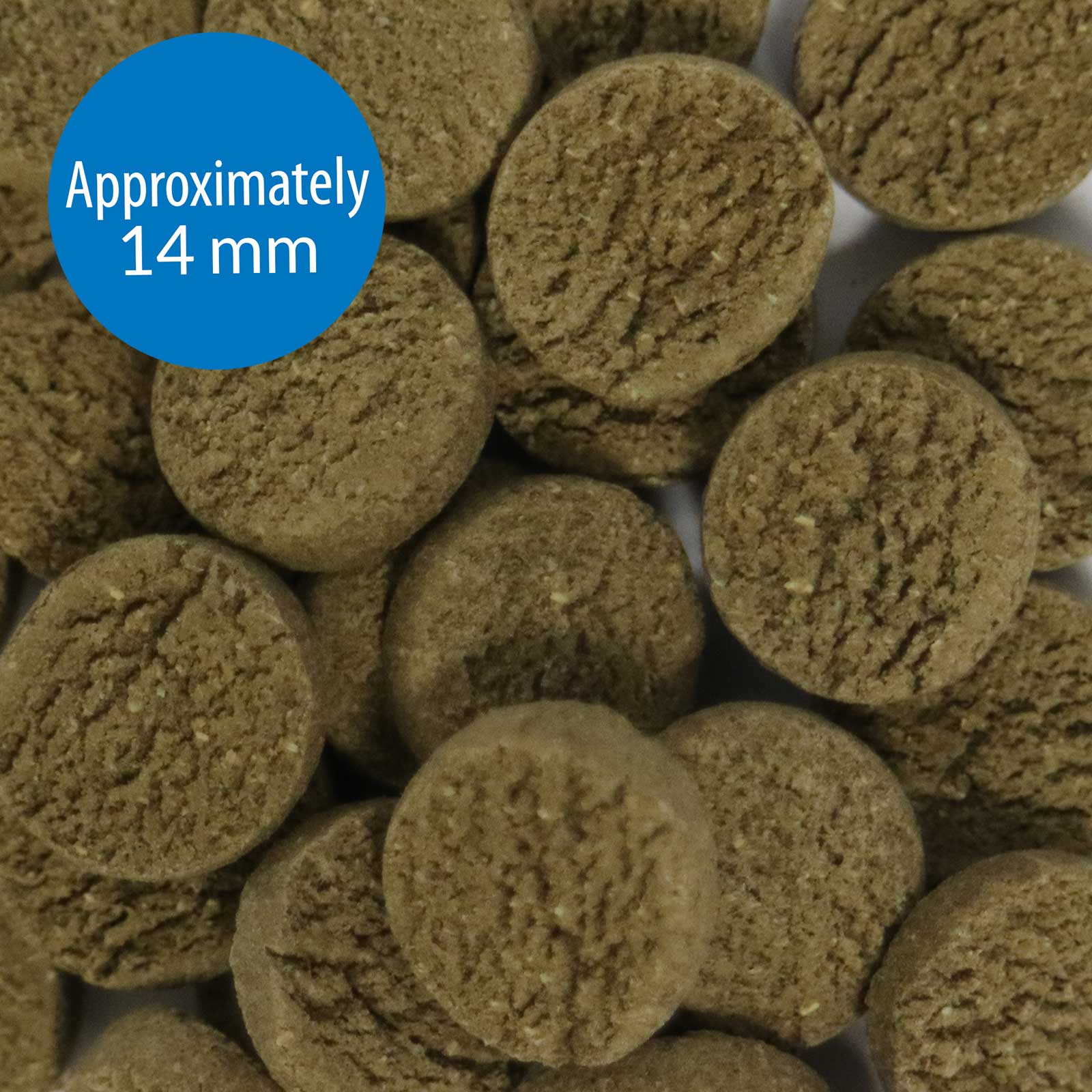 API Algae Eater Wafer - Image 4