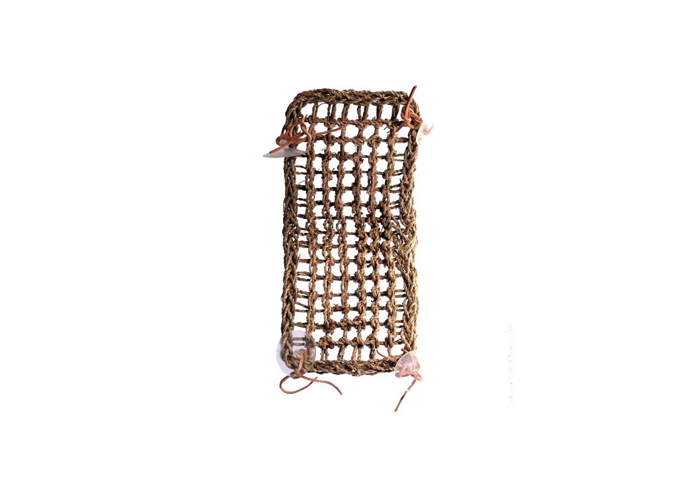 Dyno Hammock 40 X 17cm - Image 3