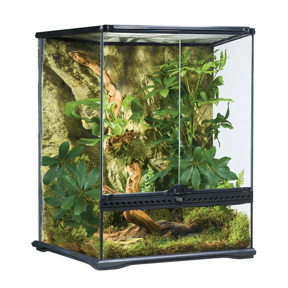 Exo Terra Terrarium - Image 3