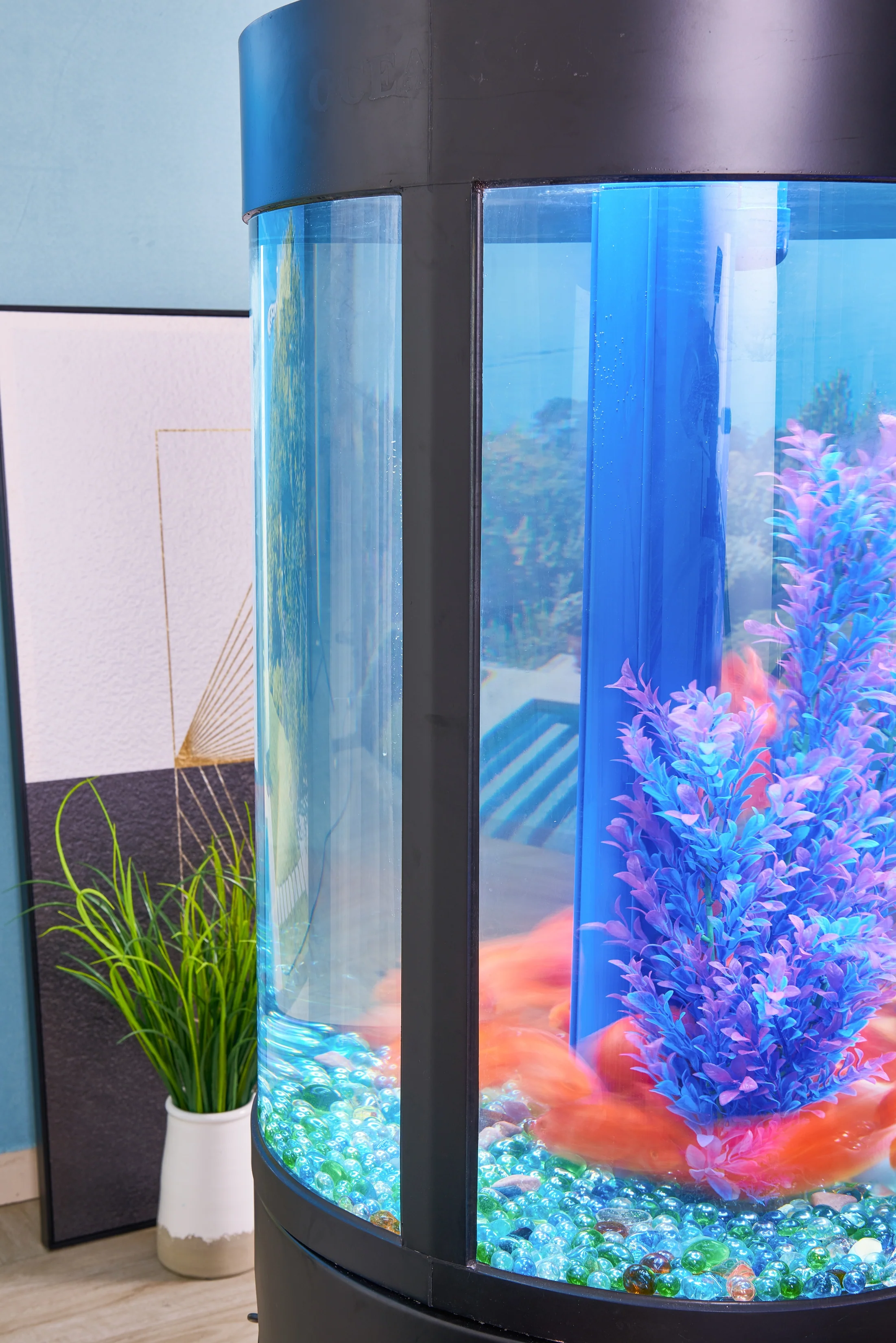 Oceanson V5-O80 80cm (D) Aquarium Round Tank with Stand and Sump - Image 6